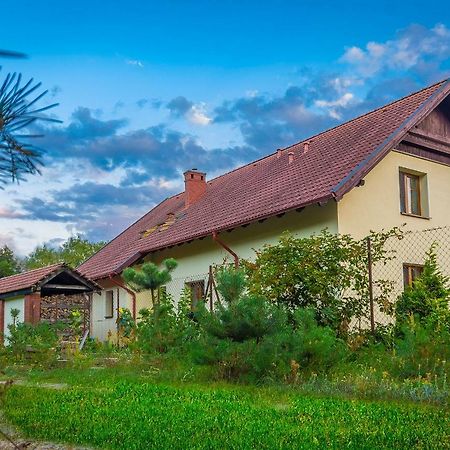 Noclegi Przylesie Rychnowy المظهر الخارجي الصورة