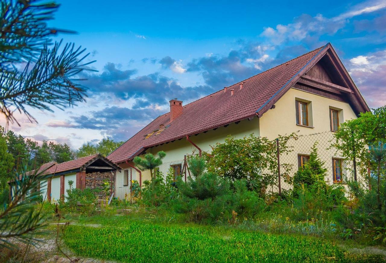 Noclegi Przylesie Rychnowy المظهر الخارجي الصورة